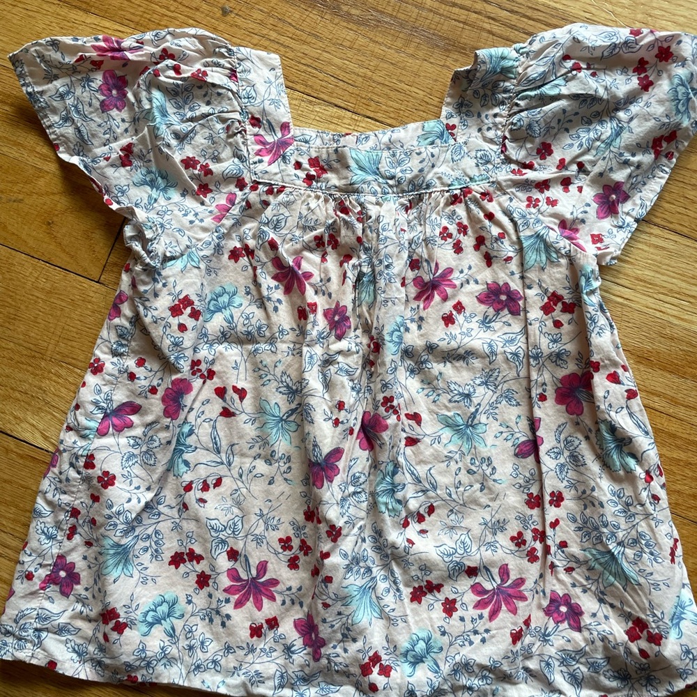 GAP Pink and Blue Floral Blouse with Ruffle Sleeves